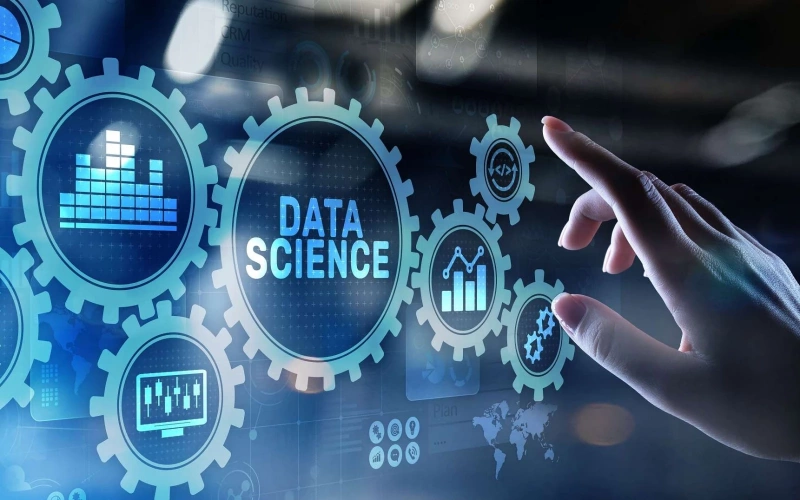 Data Science: como esse coanhecimento impacta a empresa?